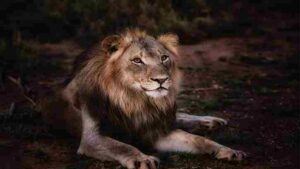 Motivational Story in Hindi for Success