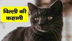 cat story for kids