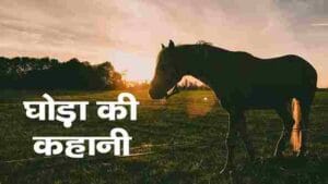 Horse ki Kahani in Hindi